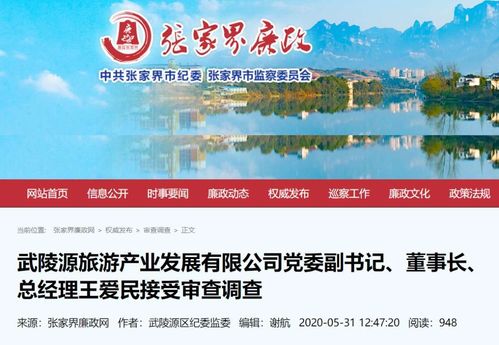 前董事長墜亡僅一月，A股公司董事突遭調(diào)查，公司回應旅游業(yè)務持續(xù)正常